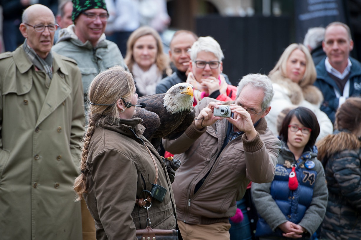valkenier verzorgt een roofvogel demonstratie op locatie